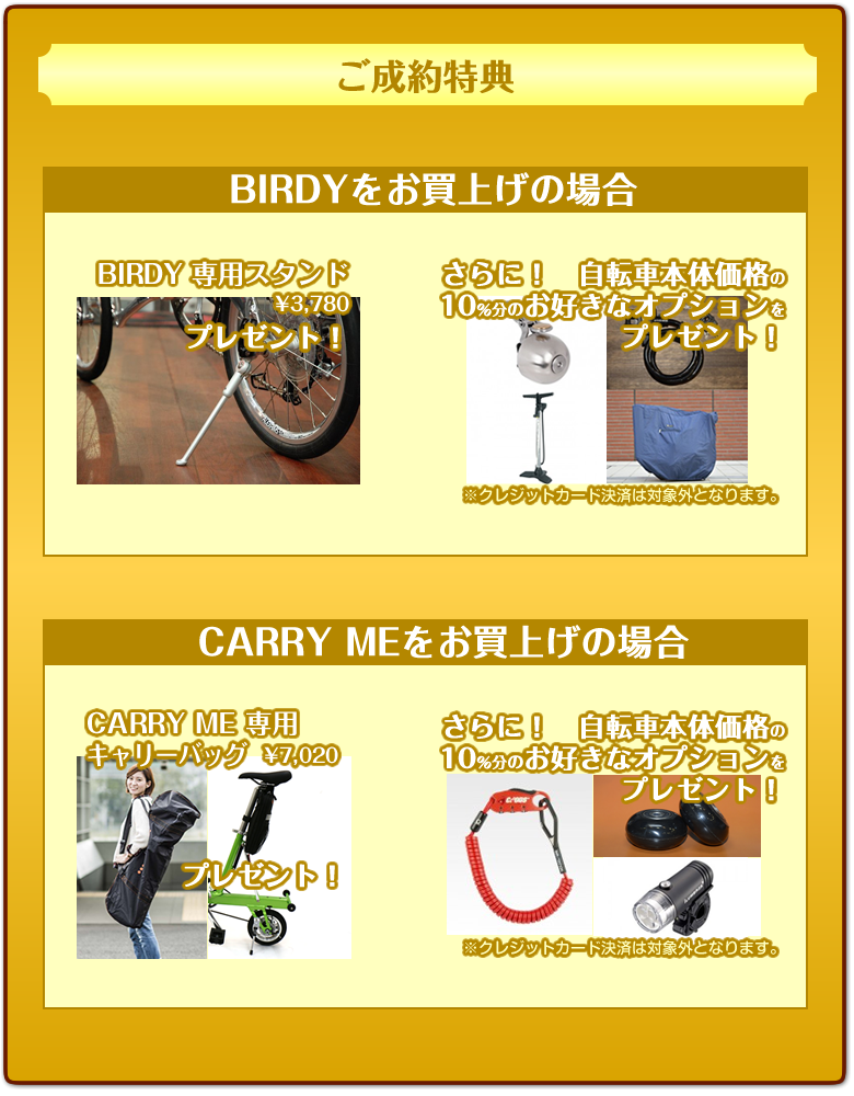 shijo_birdy1611_4